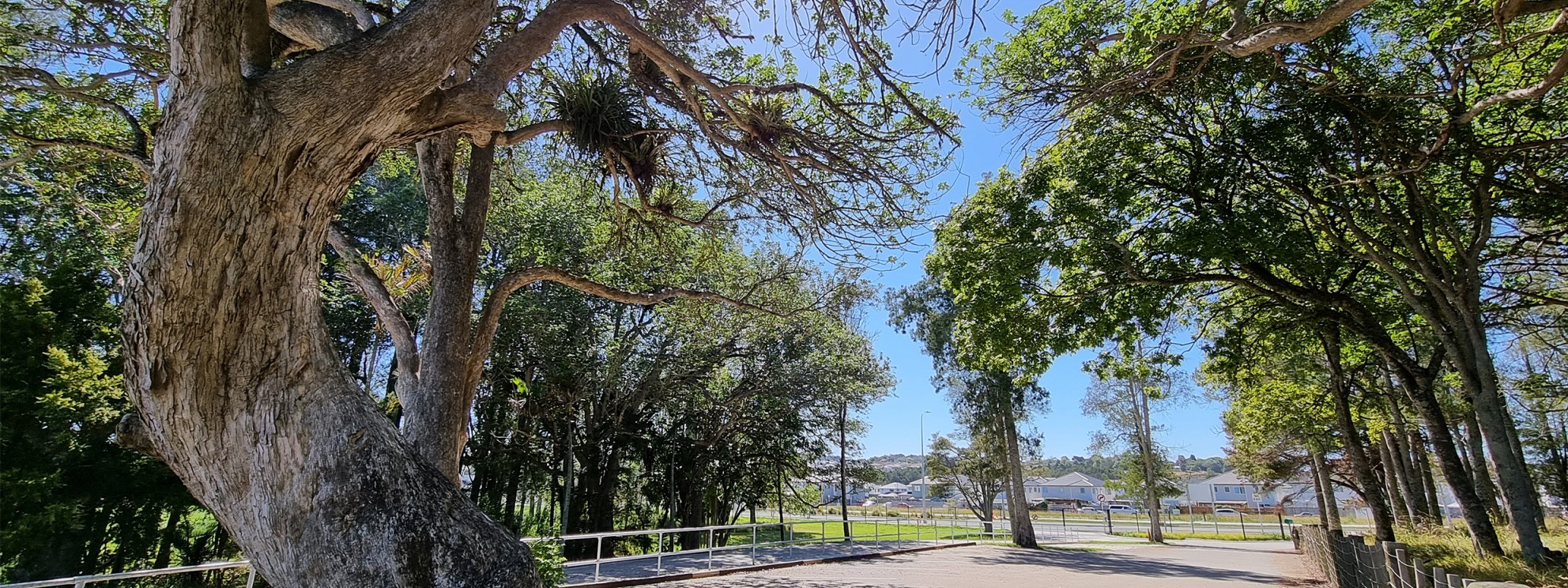 School driveway