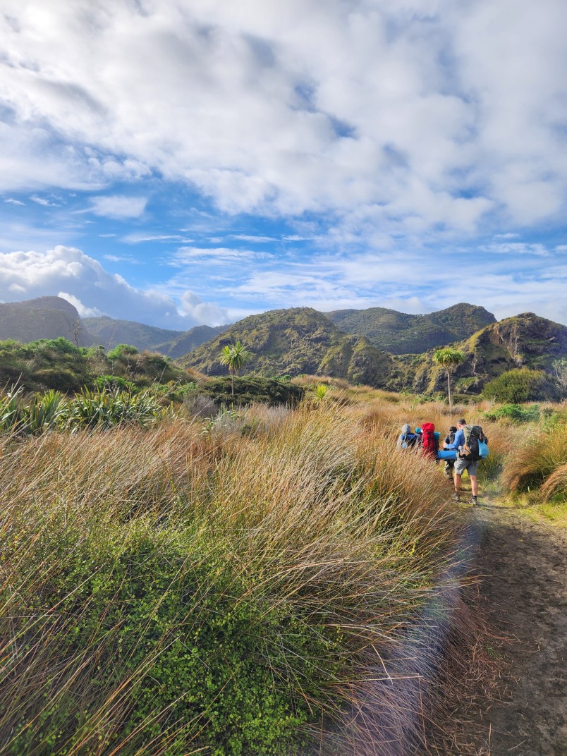 Photograph 5 from the Bronze Award tramp in the Waitākere Ranges.