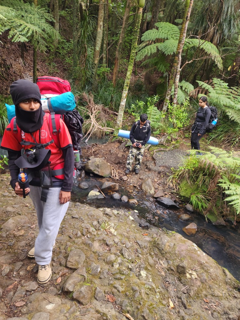 Photograph 7 from the Bronze Award tramp in the Waitākere Ranges.