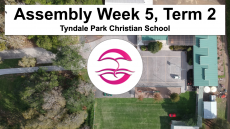 Week 5, Term 2, 2020