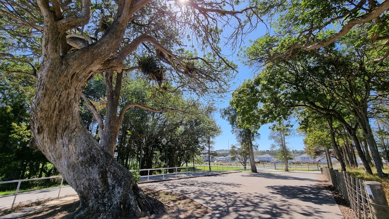 School driveway